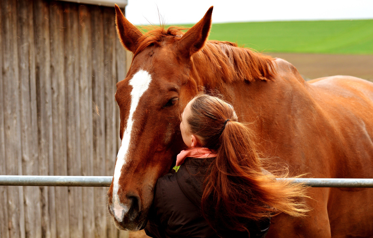 Girl Kissing a Horse